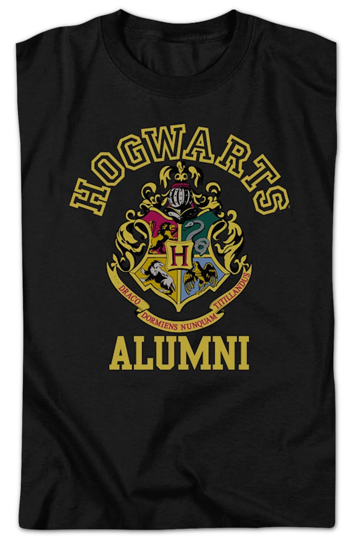 Hogwarts Alumni Harry Potter T-Shirt - Image 2