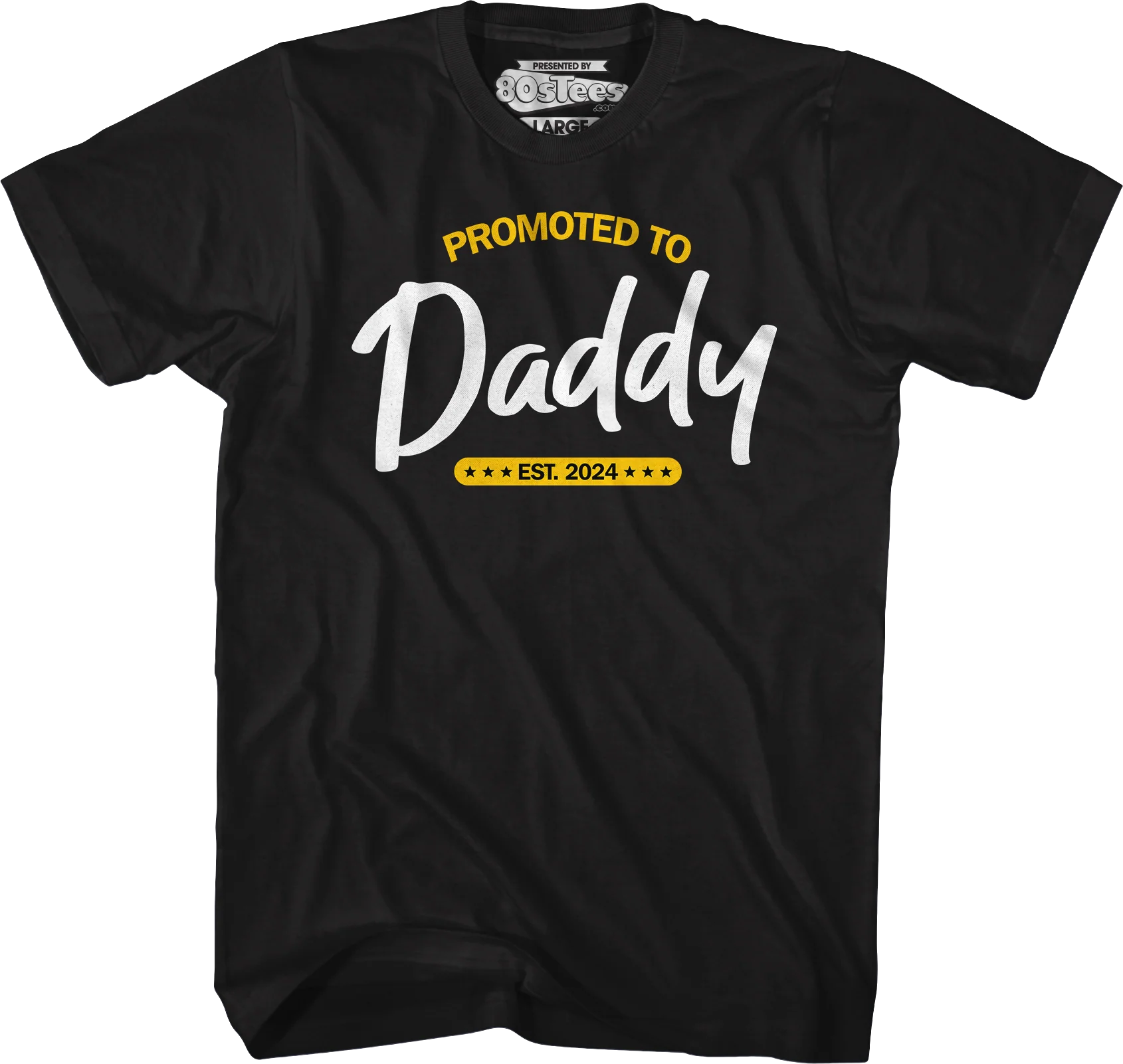 Promoted To Daddy Est. 2024 T-Shirt