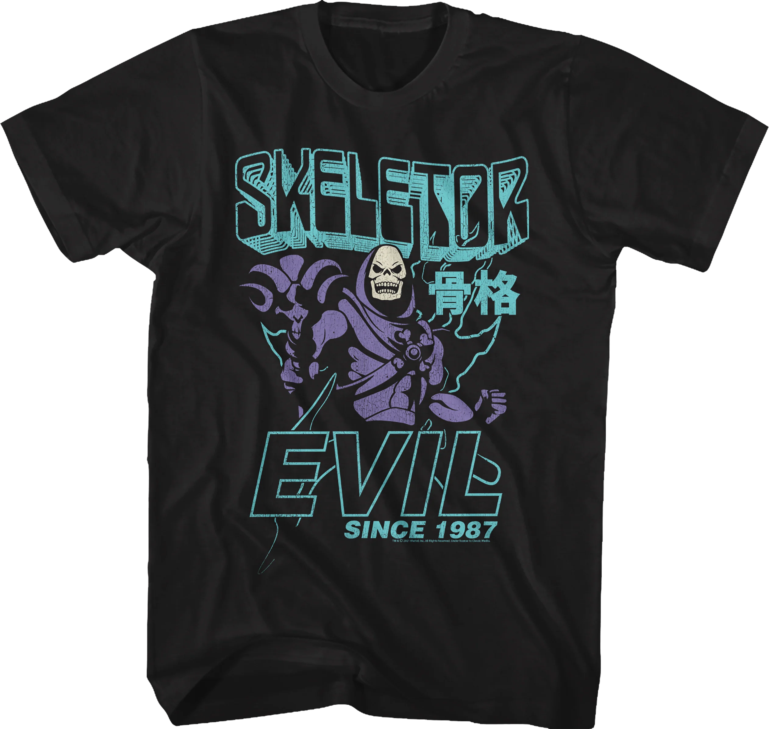 Skeletor Evil Since 1987 Masters of the Universe T-Shirt
